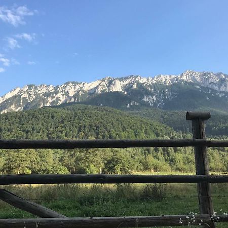 Pensiunea Kyfana Zărneşti Zewnętrze zdjęcie