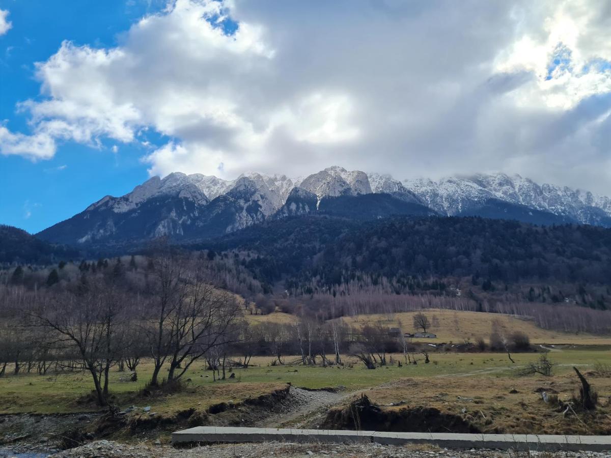 Pensiunea Kyfana Zărneşti Zewnętrze zdjęcie