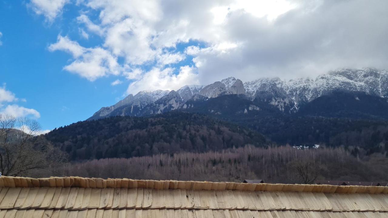 Pensiunea Kyfana Zărneşti Zewnętrze zdjęcie