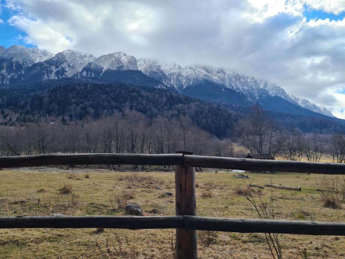 Pensiunea Kyfana Zărneşti Zewnętrze zdjęcie