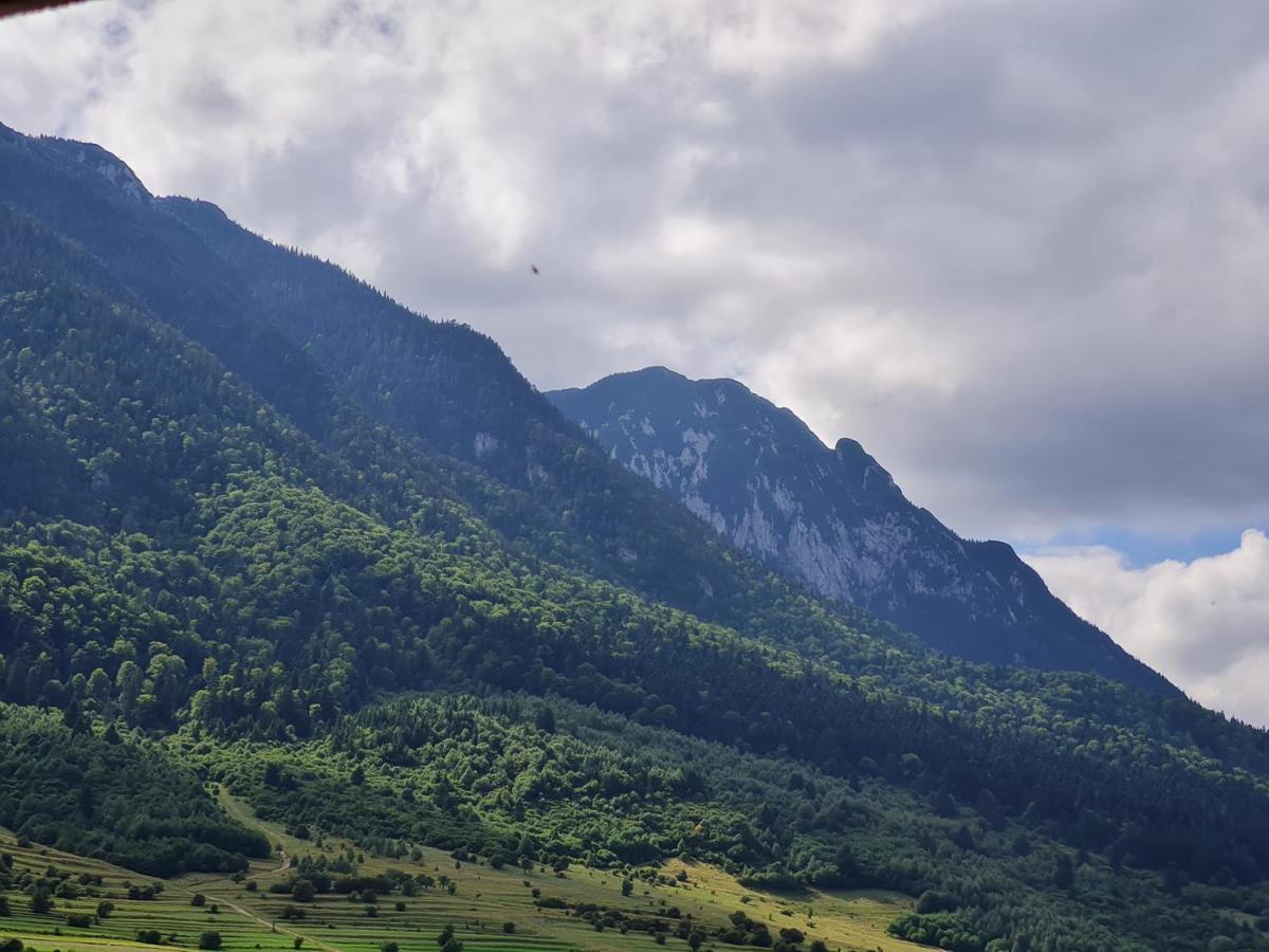 Pensiunea Kyfana Zărneşti Zewnętrze zdjęcie