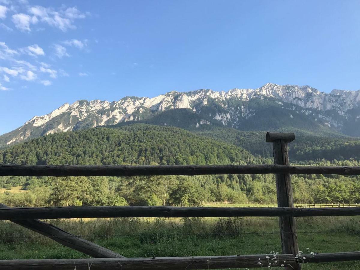 Pensiunea Kyfana Zărneşti Zewnętrze zdjęcie